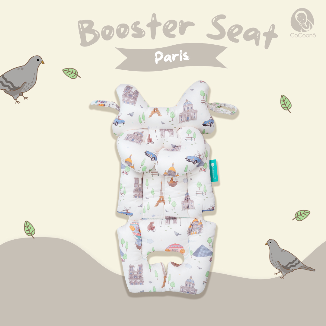 Booster seat cushion